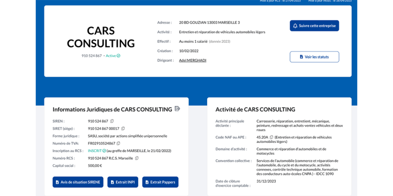 CARS_CONSULTING